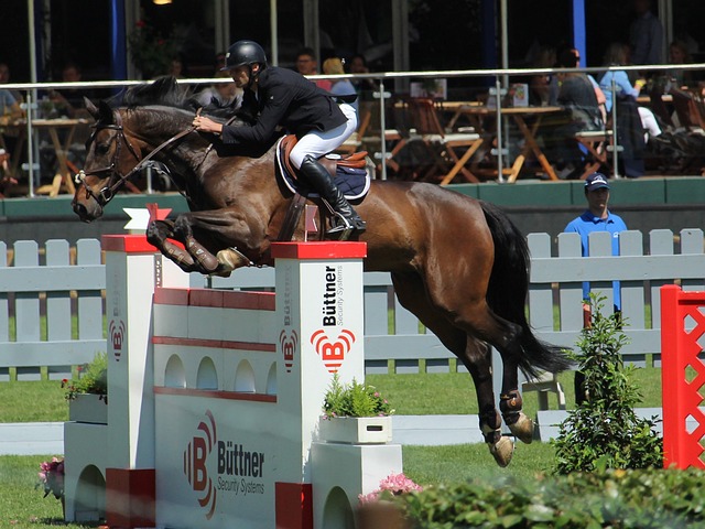 帕尔默的表 帕尔默的表