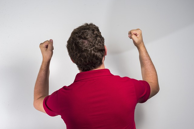 总结与启示 总结与启示